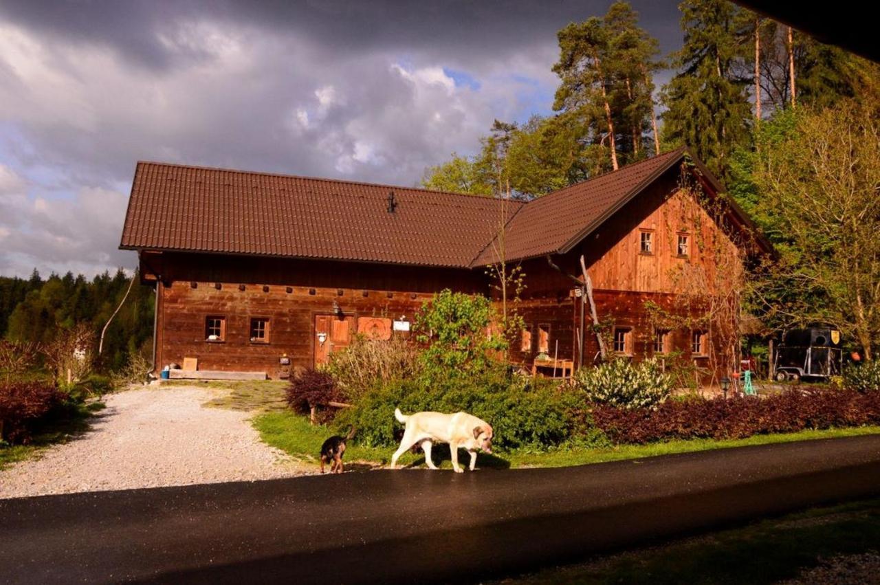 Ranch Kaja & Grom Hotel Vojnik Bagian luar foto